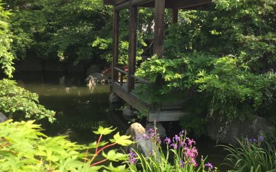 (Kurz-) Urlaub im Schindlerhof: Sommerfrische zwischen Zen-Garten und Fränkischer Schweiz