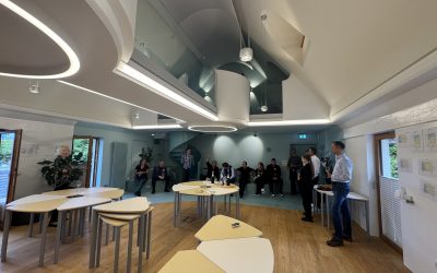 Baustelle mit Aussicht: Raum fast fertig – heute feiern wir Teamparty!