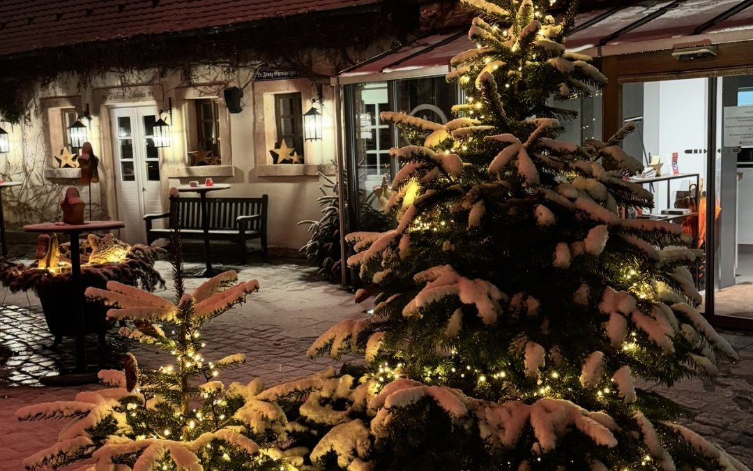 Raum für Visionen: ein schönes Geschenk unterm Christbaum gesucht? 😊 