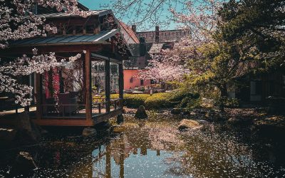 Ostern 2026: Eine Auszeit im Schindlerhof – Genuss, Erholung & vielleicht ein bisschen Workation 🌿🐣