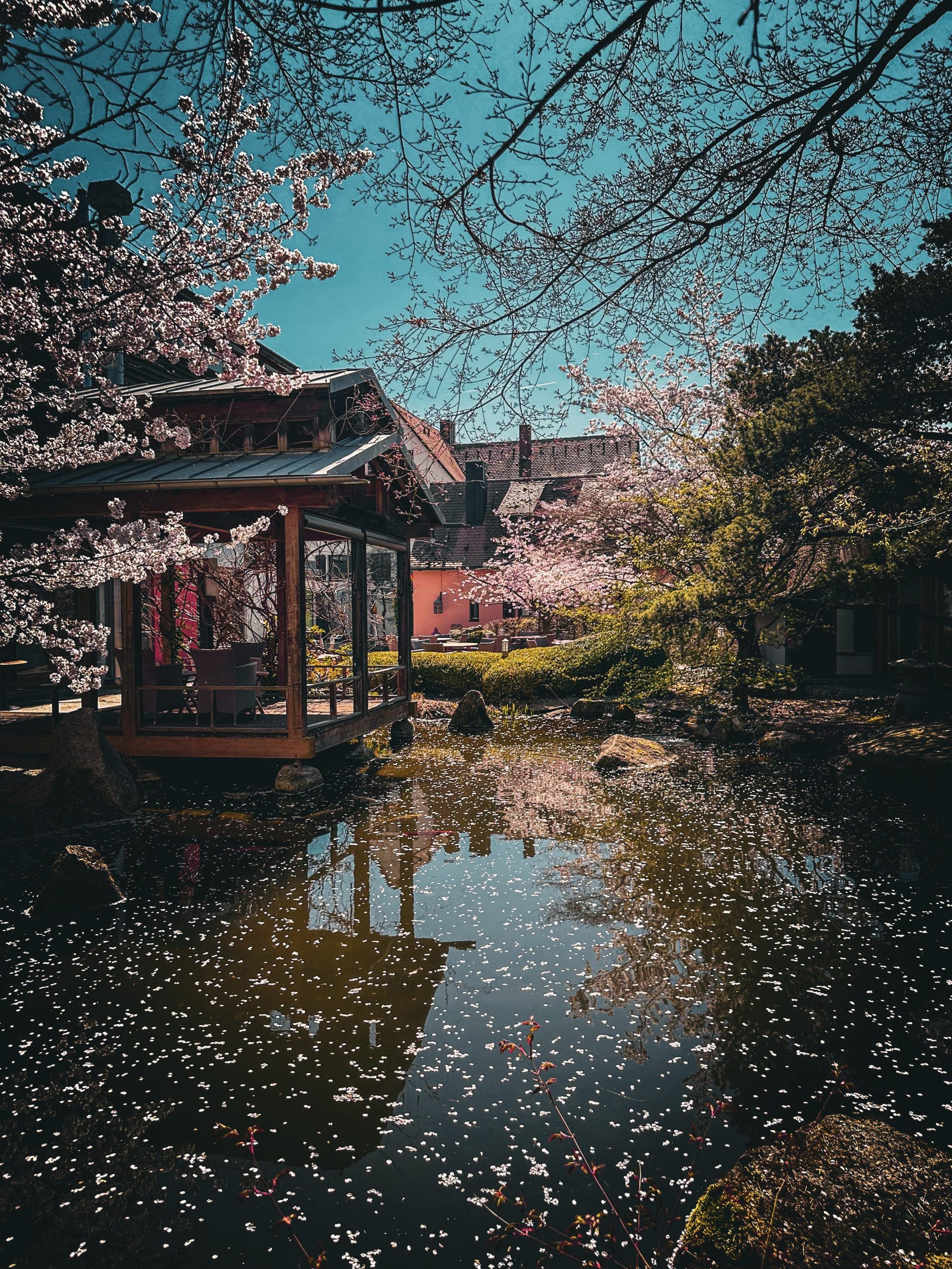 Moderne Holzfassade des Schindlerhof-Gebäudes mit orangenem Akzent und umgebendem Grün